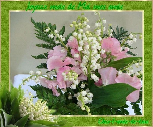 Belle image ... Fleurs