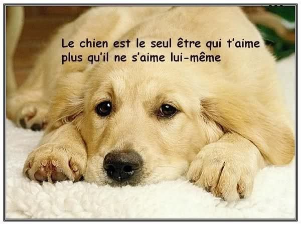 Belle image ... Animaux